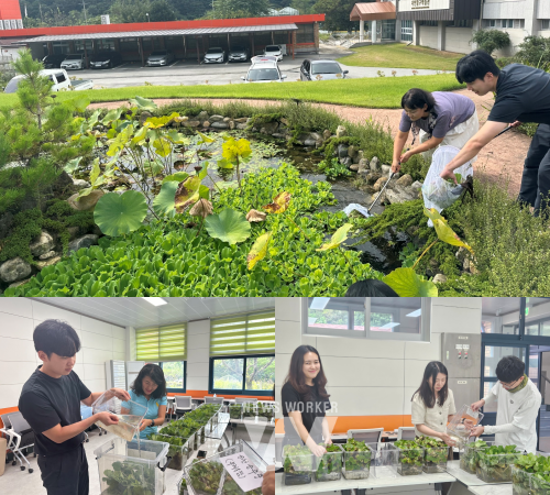 전남교육청자연탐구원 관계자가 탐구원 내 생물학습자료를 분양하고 있다.
