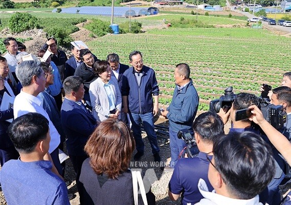 송미령 농림축산식품부 장관이 29일 해남을 방문해 배추 작황을 점검하고, 최근 집중호우로 인한 피해 복구에 대한 관련기관의 의견을 청취했다