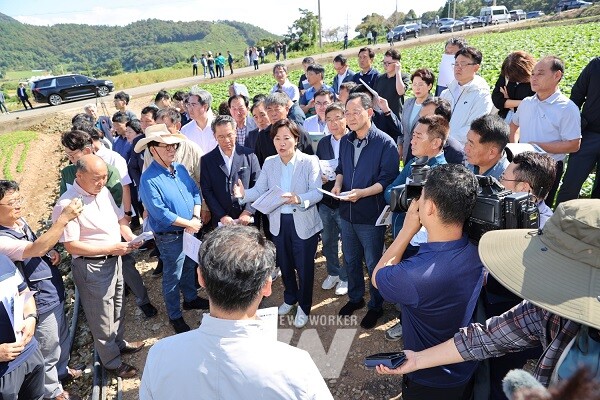 송미령 농림부 장관 해남 방문 배추 현장점검