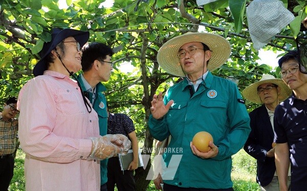 윤병태 나주시장이 지난 29일 삼도동 소재 배 농가 현장을 방문해 일소피해 실태를 점검하고 있다. (사진제공-나주시)