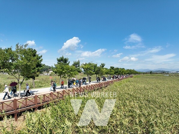 순천갯벌 람사르길을 걷는 시민들