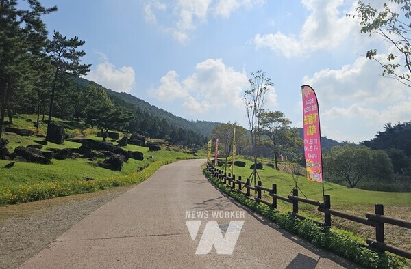 2024 화순 고인돌 가을꽃 축제장 대형 조형 깃발2024 화순 고인돌 가을꽃 축제 2 : 2023 화순 고인돌 가을꽃 축제장 대형 포스터