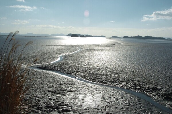 순천만의 갯벌