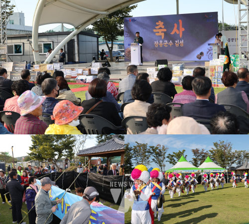 장평면민의날 호도축제