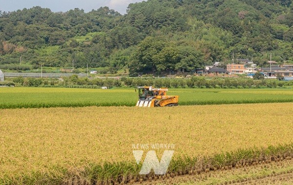 벼 경영안정대책비 지원 - 벼 수확