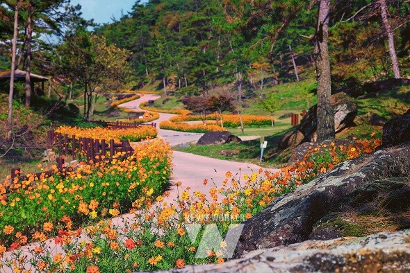 추천관광지- 화순 고인돌유적지