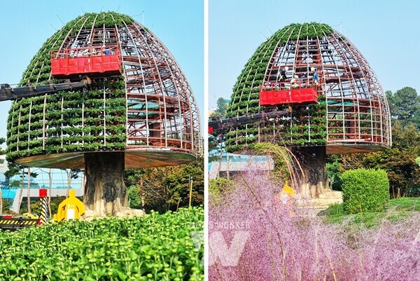 꿈나무, 희망나무 꽃탑을 조성하는 모습