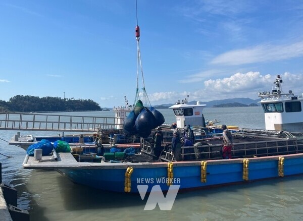 전남 해남군은 고품질의 2025년산 김 생산을 위한 지원에 총력을 기울이고 있다. 