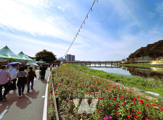문화대교 방면 꽃길, 많은 인파로 발디딜 틈이 없다.