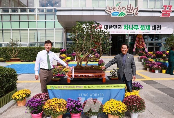 금상 작품(작품 우 김철우 군수 작품 좌 보성차나무분재협회 임봉현 회장)