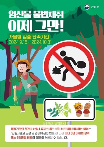순천시, 가을철 산림 내 '임산물 불법 채취 단속'
