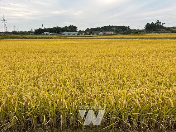 소규모 농업진흥지역(함평 신광면)