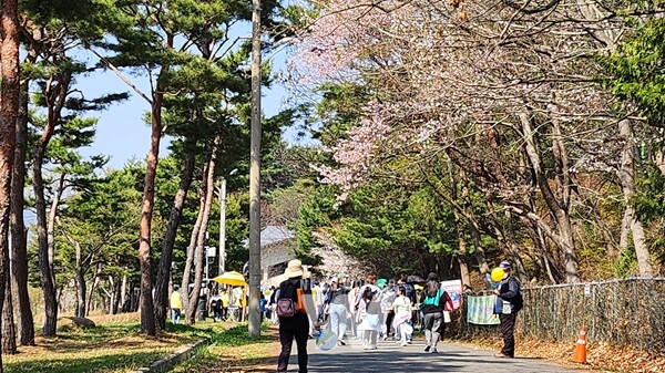 영암군, 10/20~11/8일 ‘백세 팔팔 걷기 사업’ 시행