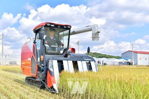 김한종 장성군수가 안평벼 수확을 위해 직접 콤바인을 몰고 있다