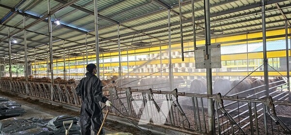 전남 고흥군(군수 공영민)은 확산 방지를 위해 다음과 같은 조치를 시행하며 조류인플루엔자(AI) 차단방역에 총력을 기울이고 있다.