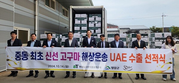 한국산 고구마 바다 건너 중동 UAE 수출길 오른다.