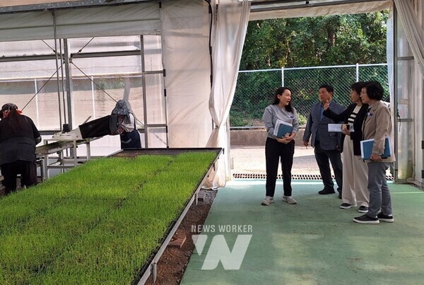 지난 10월 11일, 영광군(군수권한대행 김정섭)은 김행란 신임 전라남도 농업기술원장이 영광군을 방문해 영농현장을 둘러보며 협력 방안을 논의했다