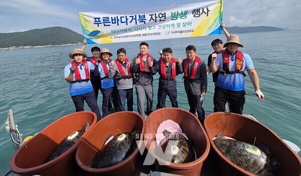 푸른바다거북 자연 방생