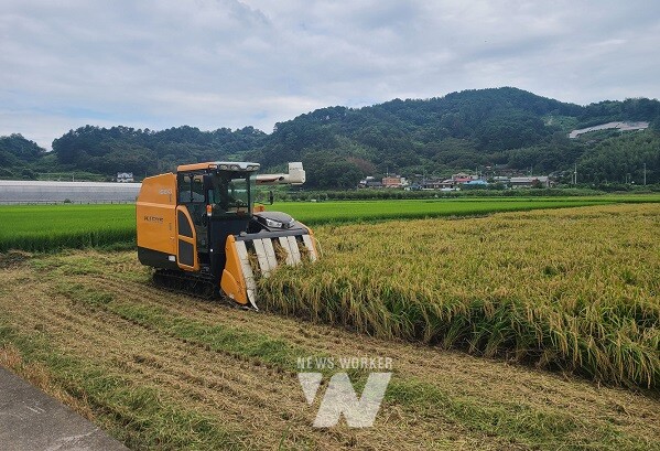 광양시는 지난 5일부터 공공비축미곡 매입이 본격적으로 시작됐다
