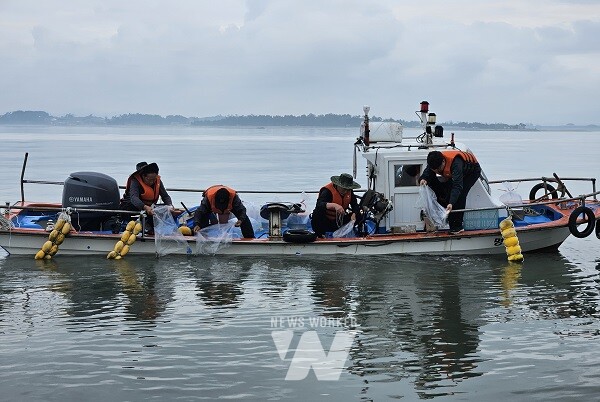 탄도만 해역 일원에서 진행한 어린 낙지 종자 방류 행사