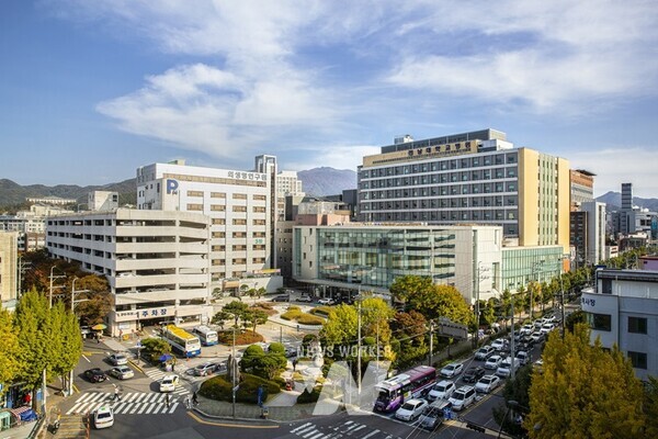 전남대병원 전경