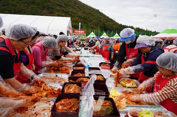 해남미남축제 515김치비빔
