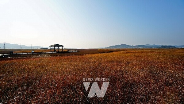 ‘섬 함초축제’가 개최되는 증도 태평염전 전경