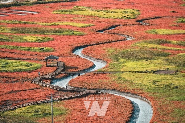 ‘섬 함초축제’가 개최되는 증도 태평염전 전경