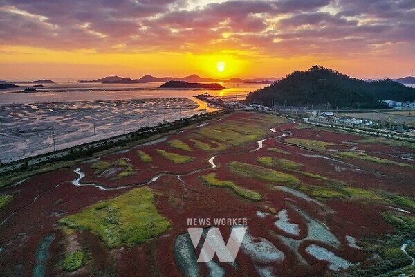 ‘섬 함초축제’가 개최되는 증도 태평염전 전경