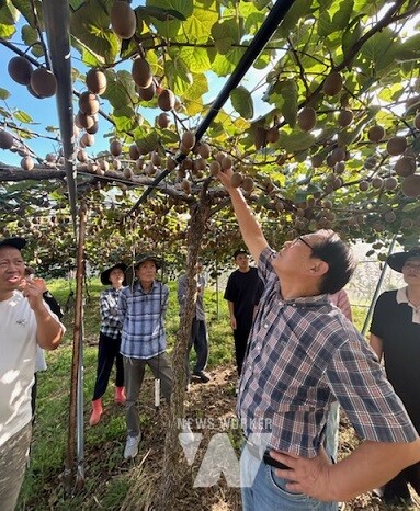 진도군농업기술센터, 삼색키위연구회 대상 현장 교육 추진