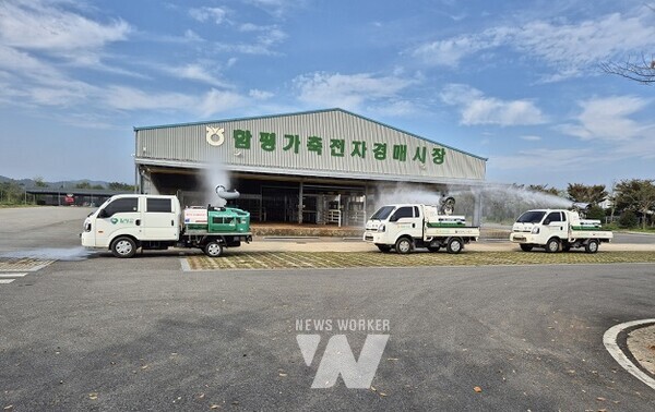학교면 함평가축전자경매시장 방역활동