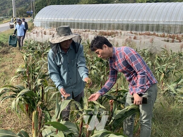 순천시 농업기술센터는 기후환경 변화로 인한 이상기상, 병해충 발생 증가 등 농업 현안 신속 해결은 물론 적기에 영농지도와 사업발굴을 위해 지난 16일부터 매주 수요일을 농업 현장 방문의 날로 정하고 전 직원이 영농현장을 찾고 있다.