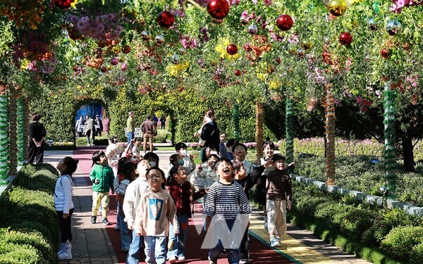 전남 함평군이 형형색색의 국화꽃으로 함평 들녘을 물들이는 ‘2024 대한민국 국향대전’ 기념 포토데이를 24일 함평 엑스포공원에서 개최했다.