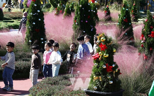 전남 함평군이 형형색색의 국화꽃으로 함평 들녘을 물들이는 ‘2024 대한민국 국향대전’ 기념 포토데이를 24일 함평 엑스포공원에서 개최했다.