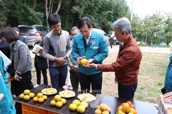 우승희 영암군수는 지난 25일 도포면 청년 단감 재배 농가를 방문해 과일 생육·출하 현황을 듣고, 제철을 맞이한 영암단감 홍보에 나섰다. 