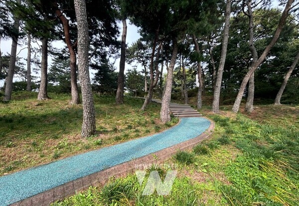 전남 영암군(군수 우승희)이 지난 25일 한국산림복지진흥원의 ‘2025년 녹색자금 공모사업’에 선정돼 영암공원 무장애 나눔길 사업비 4억2,400만 원을 확보했다.