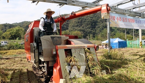 나주시가 남평읍 남석리 하남마을에 구축한 제1호 영농형 태양광 발전소 일원에서 태양광 설비 준공 기념식과 벼 수확 행사를 가졌다.  (사진제공-나주시)