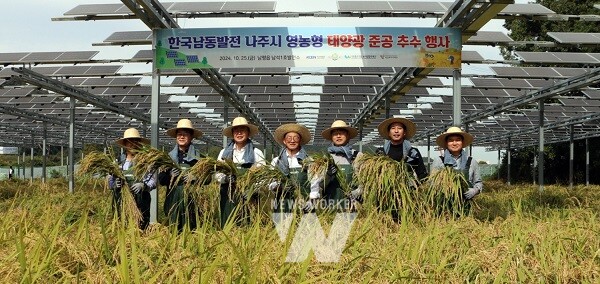 나주시가 남평읍 남석리 하남마을에 구축한 제1호 영농형 태양광 발전소 일원에서 태양광 설비 준공 기념식과 벼 수확 행사를 가졌다.  (사진제공-나주시)