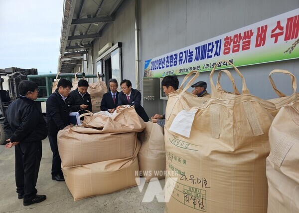 기능성 쌀 수매현장