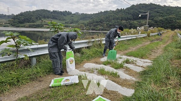 영광군, '철새서식지 방역 및 예찰' 등 AI 대응 노력