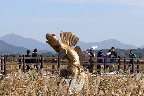 제9회 강진만 춤추는 갈대축제 폐막