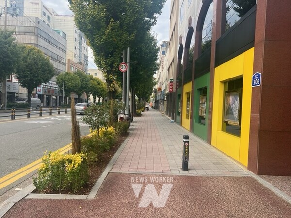 광주시 동구(청장 임택)는 시민들에게 쾌적한 보행환경과 가로변 녹지를 제공하기 위한 ‘초록이 넘치는 녹도 조성 사업’을 완료했다