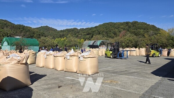 광주광역시(시장 강기정)는 5일 북구 석곡동, 광산구 본량동 등 2곳에서 2024년산 건조벼 첫 매입을 시작으로 오는 28일까지 총 4813t의 공공비축미를 매입한다.
