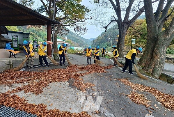 노인일자리 사업 참여(아름다운 마을 만들기 사업, 동복면)