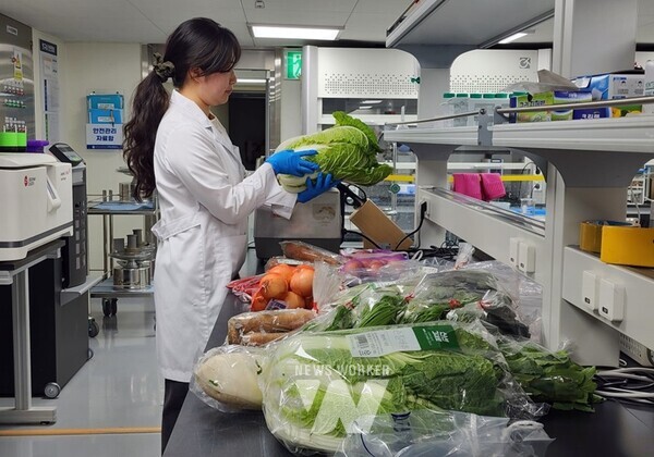 보건환경연구원 김장철 농산물 잔류농약 검사