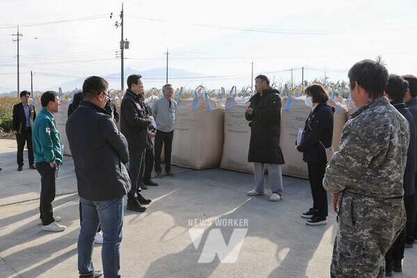 전남 영암군(군수 우승희)이 지난 6일 2024년산 공공비축미곡 가루쌀벼 수매를 시작으로 건조벼 매입에 돌입했다.