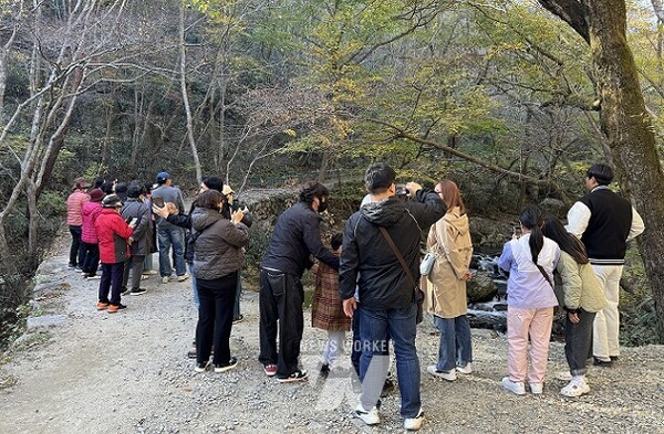 순천시티투어 가을빛투어 참여자들이 승선교 옆 숲길과 계곡에서 사진을 찍고 있다