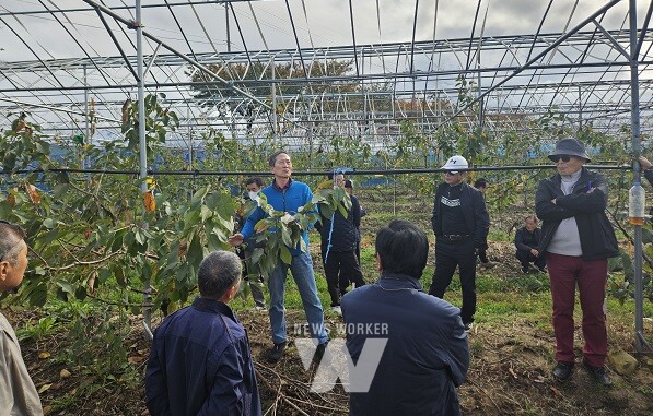 곡성군(군수 조상래)은 관내 체리 재배농업인 30여명을 대상으로 지난 11월 5일부터 6일까지 1박 2일간 체리 선진농가 현장 견학을 실시했다