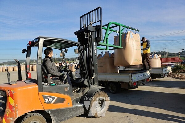 전남 해남군은 지난 7일 황산면을 시작으로 2024년산 공공비축미 포대벼 매입을 시작했다.