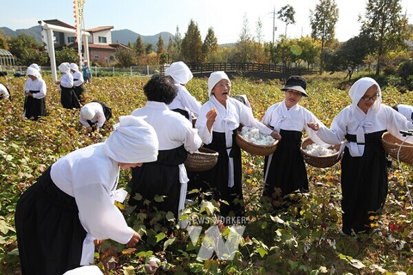 2023년 내평리 길쌈놀이